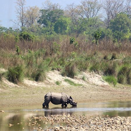 Forest Hideaway Resort Pvt Ltd Bardiya Экстерьер фото
