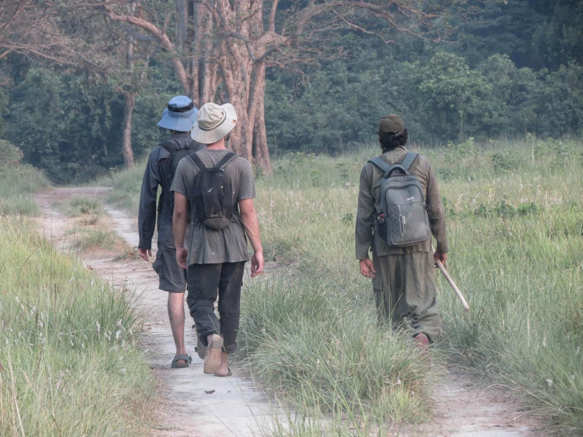 Forest Hideaway Resort Pvt Ltd Bardiya Экстерьер фото