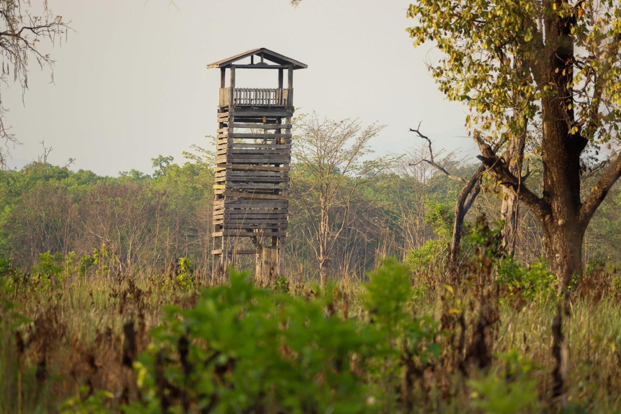 Forest Hideaway Resort Pvt Ltd Bardiya Экстерьер фото