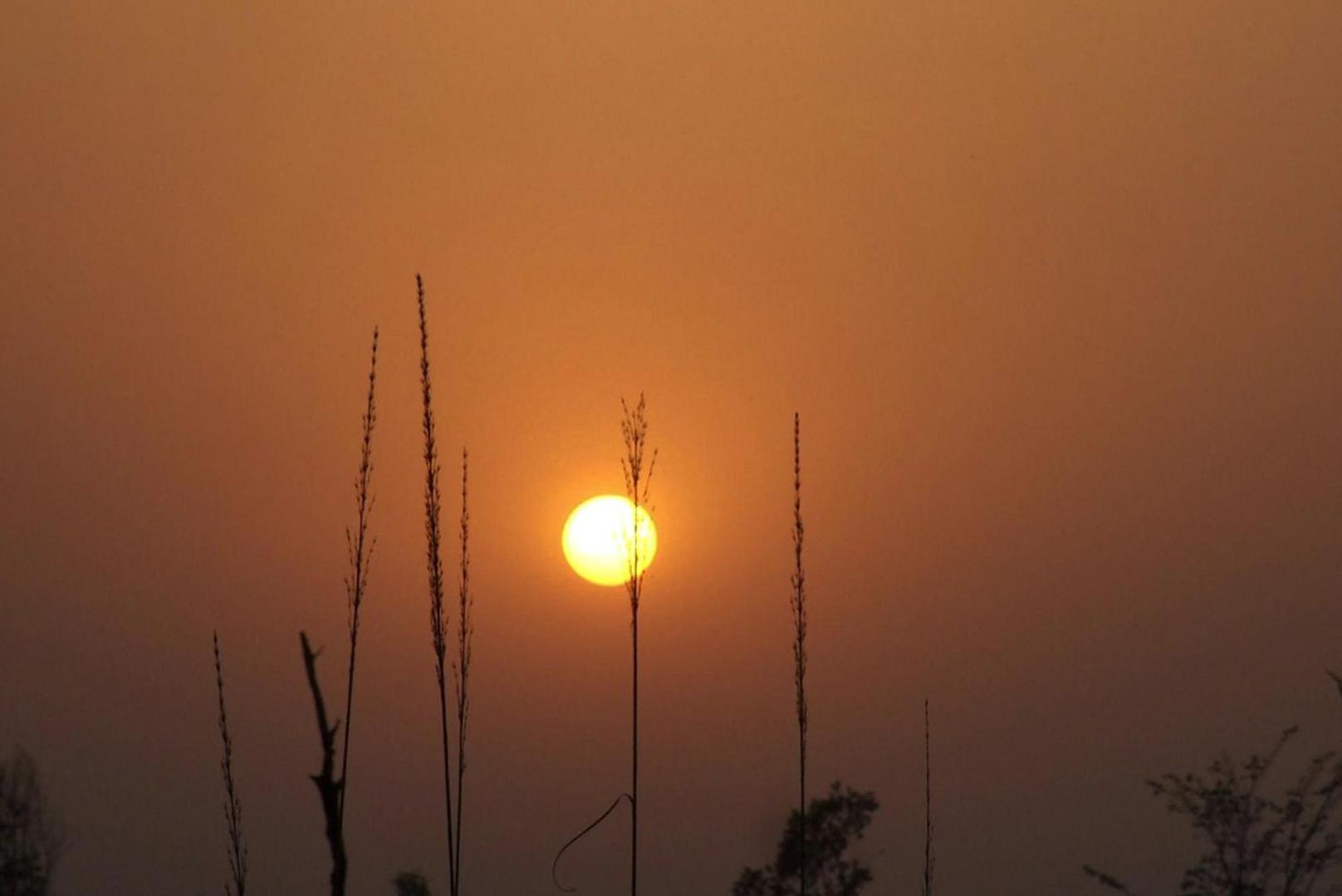 Forest Hideaway Resort Pvt Ltd Bardiya Экстерьер фото