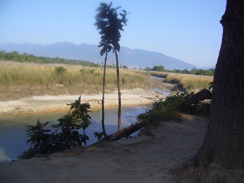 Forest Hideaway Resort Pvt Ltd Bardiya Экстерьер фото